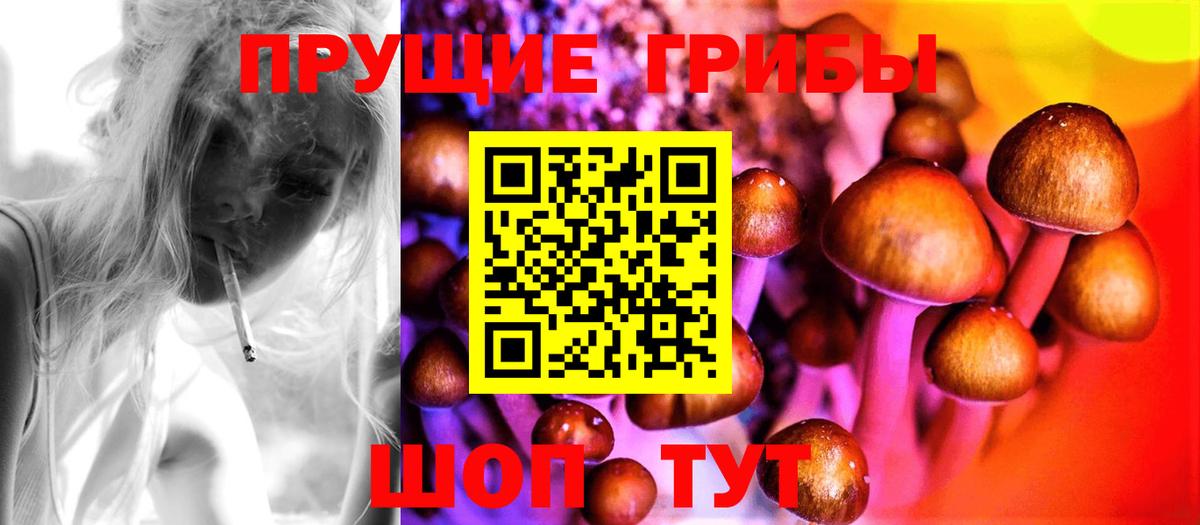 Курчалой  Галлюциногенные грибы MAGIC MUSHROOMS  Вход с VPN  Галлюциногенные грибы Cubensis 