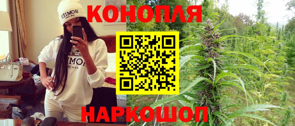 Курчалой  Бошки марихуана MAZAR  Марихуана планчик  Вход с VPN 